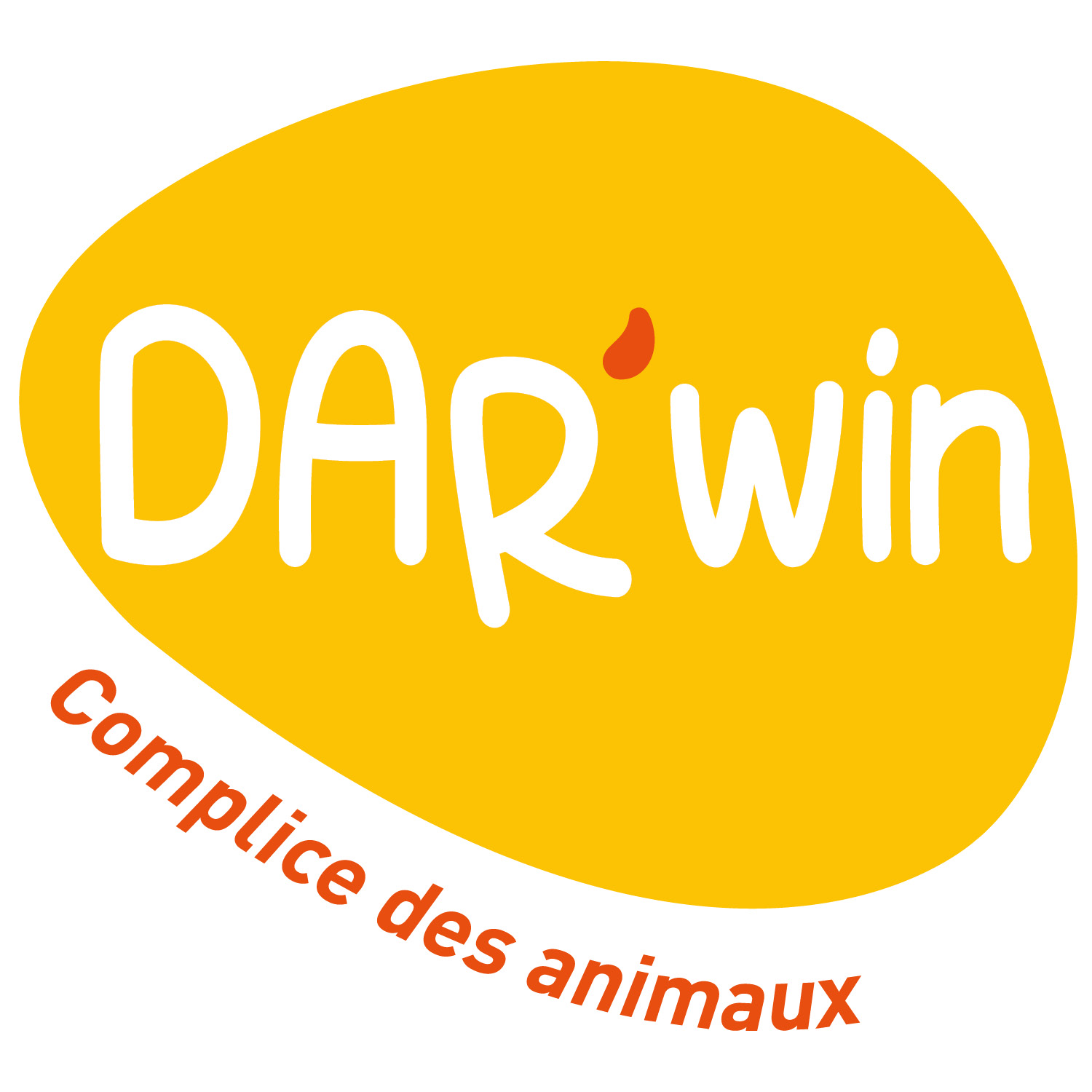 logo Darwin IS Communication
